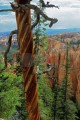 DMR_000531_72