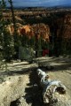 DMR_000537_72
