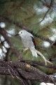 DMR_000546_72