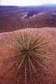 DMR_000561_72