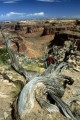 DMR_000567_72