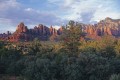 DMR_000594_72