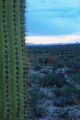 DMR_000609_72