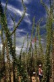DMR_000613_72
