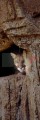DMR_000615mod_72
