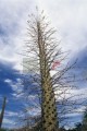 DMR_000618_72