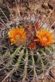 DMR_000619_72