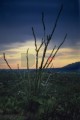 DMR_000621_72