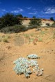 DMR_000669_72