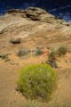 DMR_000675_72
