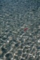 DMR_000982_72