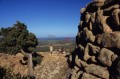 DMR_000989_72