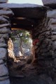 DMR_000991_72