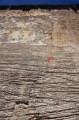 DMR_001055_72