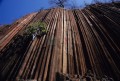 DMR_001171_72
