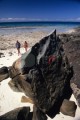 DMR_001186_72