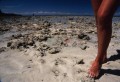 DMR_001189_72