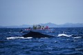 DMR_001215bis_72