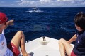 DMR_001216bis_72