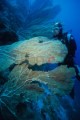 DMR_001218bis_72