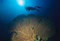 DMR_001223bis_72