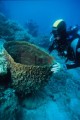 DMR_001224bis_72