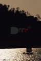 DMR_001281_72