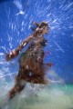 DMR_001290_72
