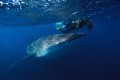 DMR_001302_72
