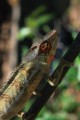 DMR_001342_72