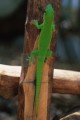 DMR_001343_72