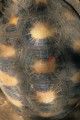 DMR_001348_72