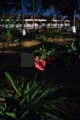 DMR_001373_72