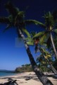 DMR_001379_72