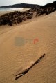 DMR_001558_72