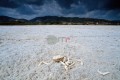 DMR_001569_72