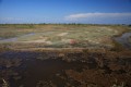 DMR_002622_72