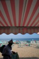 DMR_002846_72