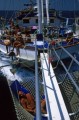 DMR_003366