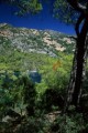 DMR_003371