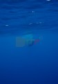 DMR_03068