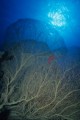DMR_03073
