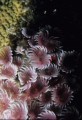 DMR_03079