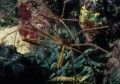 DMR_03084